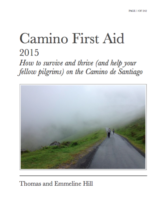 Book Cover showing a person walking a Camino path with fog