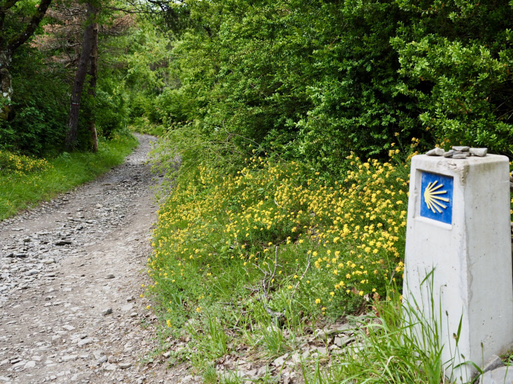 section of the Camino showing lush green foliage a rocky dirt path and a Camino waymark with scallop shell